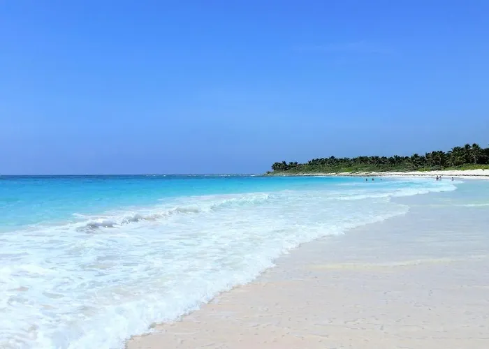 Riviera Maya Luxury Oceanfront Aparthotel